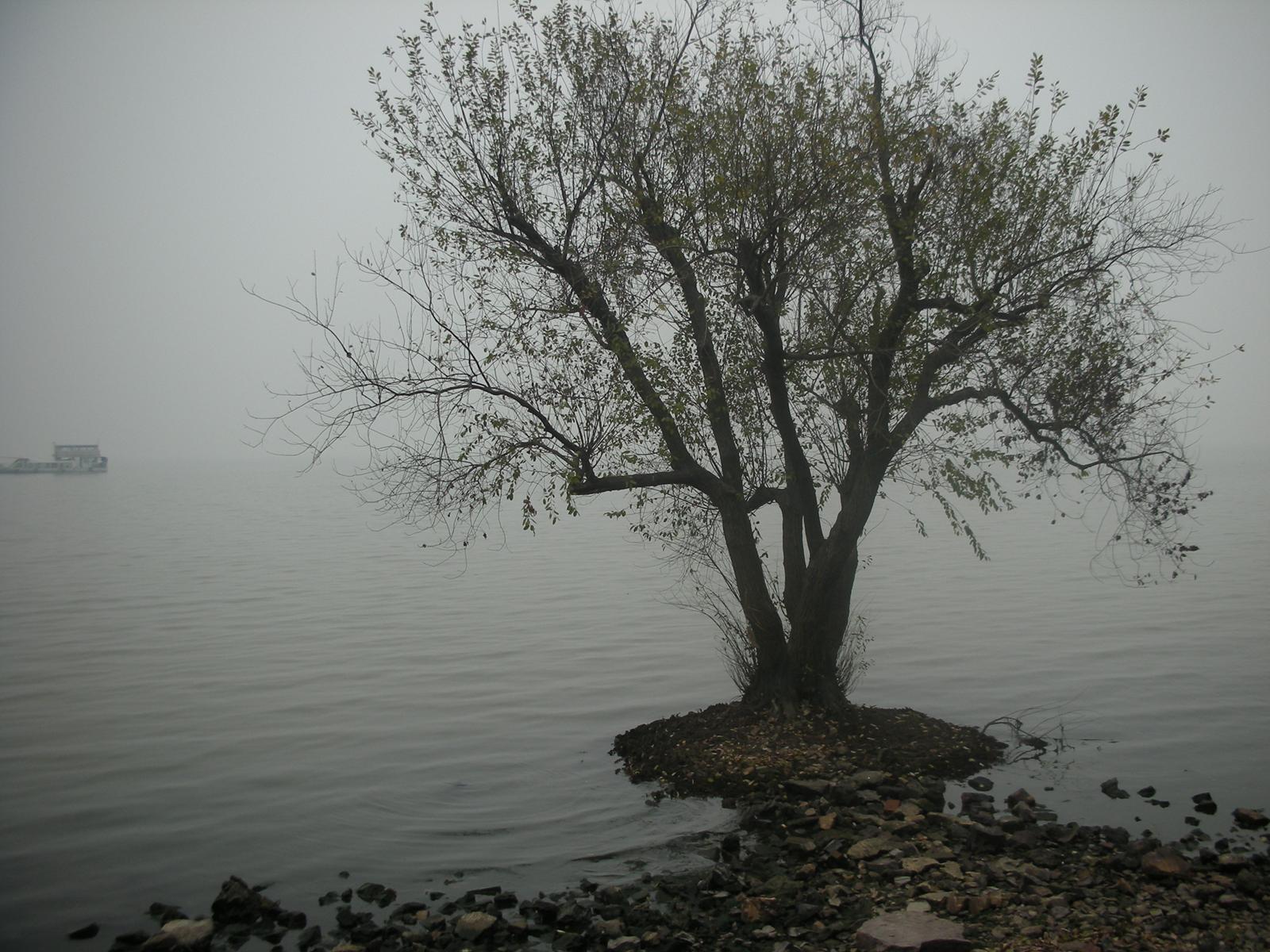 2000年ほど前は錫(スズ)の産地だったが、今は錫がない無錫(その2..無錫を代表する観光地である太湖)